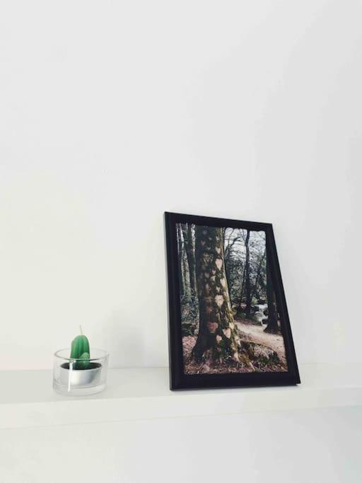 Precioso Apartamento Con Banera Hidromasaje سوبيلانا المظهر الخارجي الصورة
